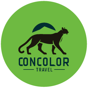 logo Concolor